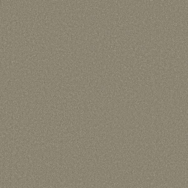 Shaw Floors Retail MAGIC AT LAST IV 15' - 00501 GUNMETAL