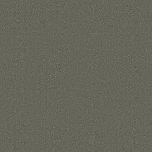 Shaw Floors Retail MAGIC AT LAST IV 15' - 00502 ALUMINUM