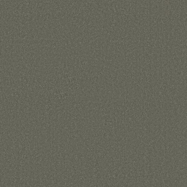 Shaw Floors Retail MAGIC AT LAST IV 15' - 00502 ALUMINUM
