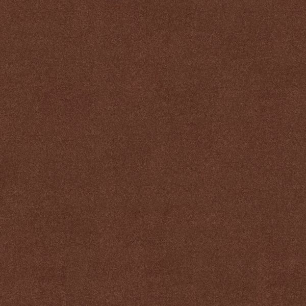 Shaw Floors Retail MAGIC AT LAST IV 15' - 00601 SPICE