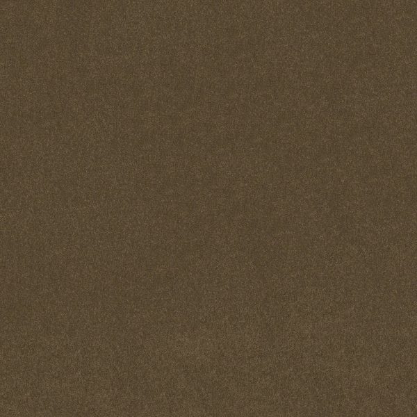 Shaw Floors Retail MAGIC AT LAST IV 15' - 00703 TREE MOSS