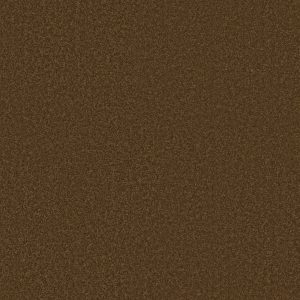 Shaw Floors Retail MAGIC AT LAST IV 15' - 00707 COCOA