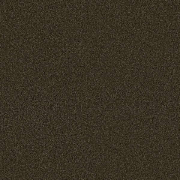 Shaw Floors Retail MAGIC AT LAST IV 15' - 00708 DARK CHOCOLATE