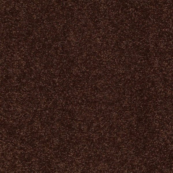 Shaw Floors Retail MAGIC AT LAST IV 15' - 00711 FUDGE BROWNIE