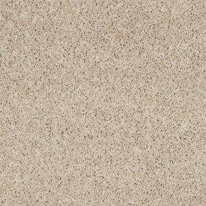 Shaw Floors Retail THUNDER STRUCK (S) - 00110 BRANDON BEIGE