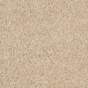 Shaw Floors Retail THUNDER STRUCK (S) - 00202 CASHMERE