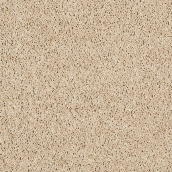 Shaw Floors Retail THUNDER STRUCK (S) - 00202 CASHMERE