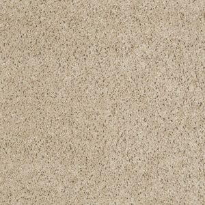 Shaw Floors Retail THUNDER STRUCK (S) - 00700 MEADOW MIST