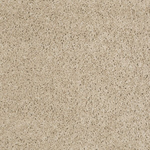 Shaw Floors Retail THUNDER STRUCK (S) - 00700 MEADOW MIST