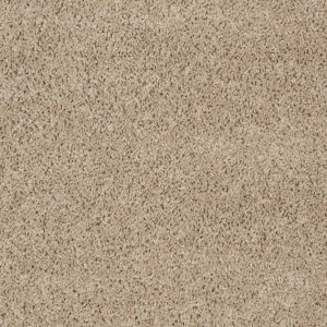Shaw Floors Retail THUNDER STRUCK (S) - 00710 PEBBLE