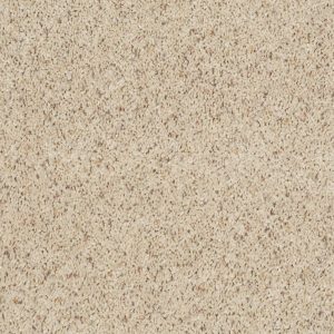 Shaw Floors Retail THUNDER STRUCK (B) - 00160 MISTY MICA