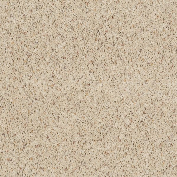 Shaw Floors Retail THUNDER STRUCK (B) - 00160 MISTY MICA