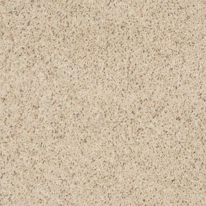 Shaw Floors Retail THUNDER STRUCK (B) - 00161 WARM SHADOW