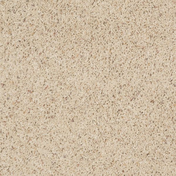 Shaw Floors Retail THUNDER STRUCK (B) - 00161 WARM SHADOW
