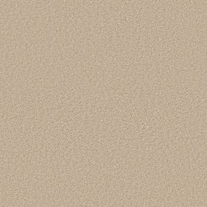Shaw Floors Retail VITALIZE (S) 12' - 00110 FRESCO