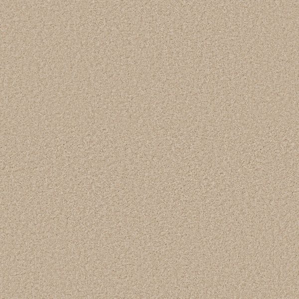 Shaw Floors Retail VITALIZE (S) 12' - 00110 FRESCO