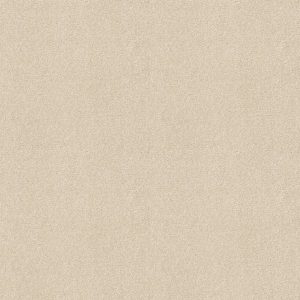 Shaw Floors Retail YOU KNOW IT - 00100 ROYAL SILK