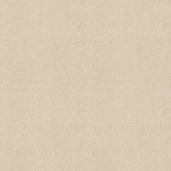 Shaw Floors Retail YOU KNOW IT - 00100 ROYAL SILK