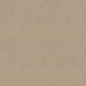 Shaw Floors Retail YOU KNOW IT - 00102 FRENCH CANVAS