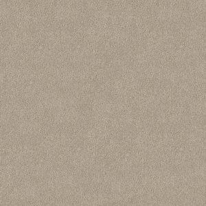 Shaw Floors Retail YOU KNOW IT - 00103 SOFT CHAMOIS