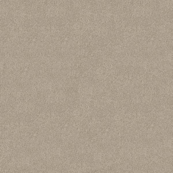 Shaw Floors Retail YOU KNOW IT - 00103 SOFT CHAMOIS