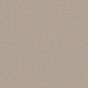 Shaw Floors Retail YOU KNOW IT - 00104 LINEN