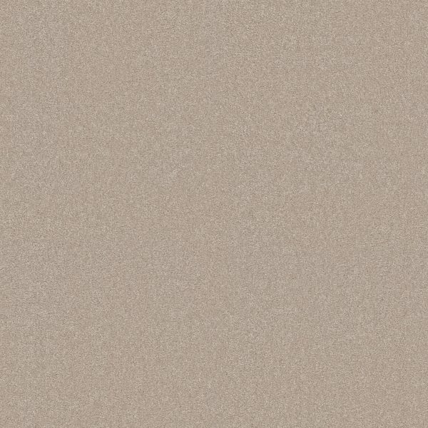 Shaw Floors Retail YOU KNOW IT - 00104 LINEN