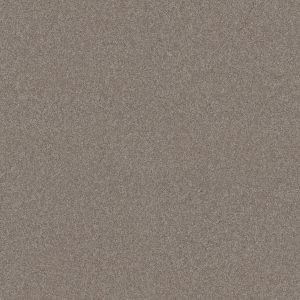 Shaw Floors Retail YOU KNOW IT - 00105 MOCHA CREAM