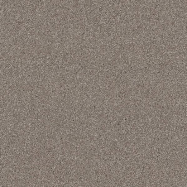 Shaw Floors Retail YOU KNOW IT - 00105 MOCHA CREAM