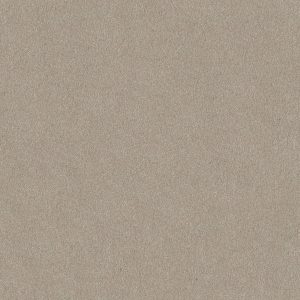 Shaw Floors Retail YOU KNOW IT - 00106 GREIGE