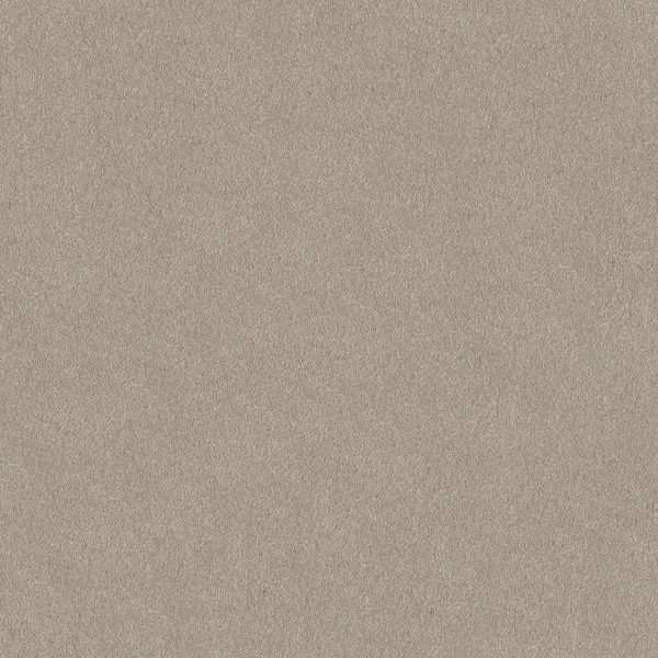 Shaw Floors Retail YOU KNOW IT - 00106 GREIGE