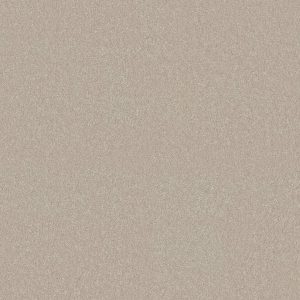 Shaw Floors Retail YOU KNOW IT - 00107 MIST