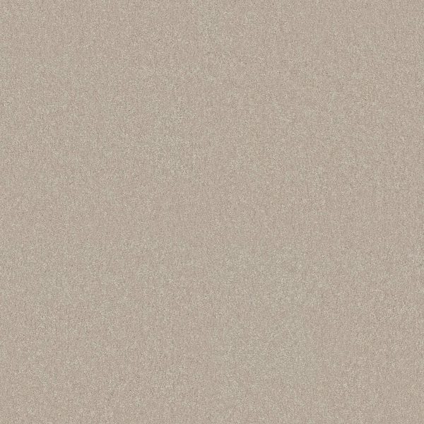 Shaw Floors Retail YOU KNOW IT - 00107 MIST