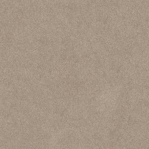 Shaw Floors Retail YOU KNOW IT - 00112 DOESKIN