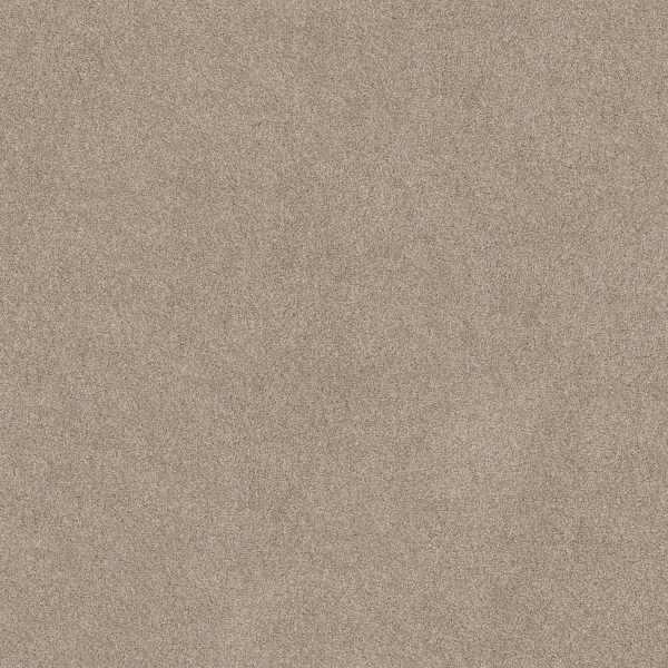 Shaw Floors Retail YOU KNOW IT - 00112 DOESKIN