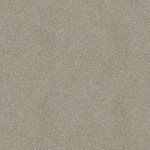 Shaw Floors Retail YOU KNOW IT - 00115 ANTIQUE SILK