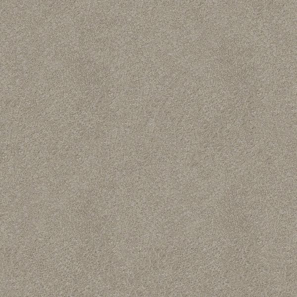 Shaw Floors Retail YOU KNOW IT - 00115 ANTIQUE SILK