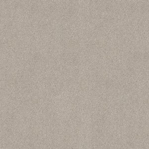Shaw Floors Retail YOU KNOW IT - 00116 CEMENT MIX