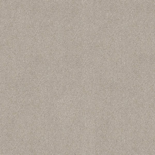 Shaw Floors Retail YOU KNOW IT - 00116 CEMENT MIX