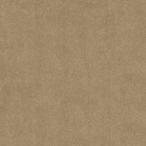 Shaw Floors Retail YOU KNOW IT - 00200 OAKWOOD