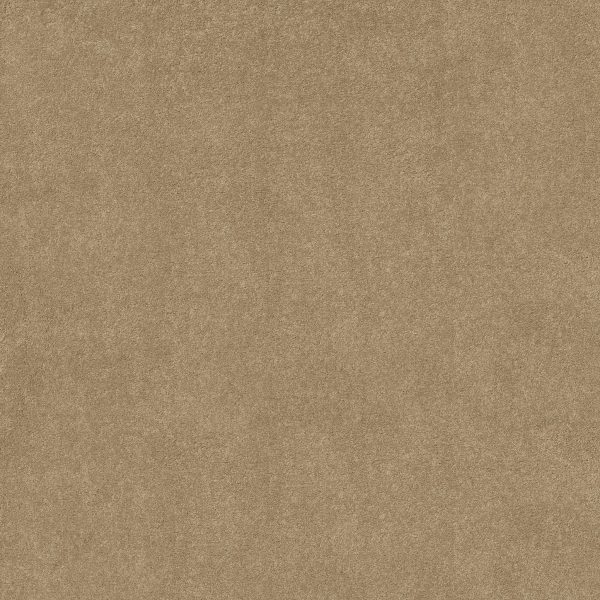 Shaw Floors Retail YOU KNOW IT - 00200 OAKWOOD