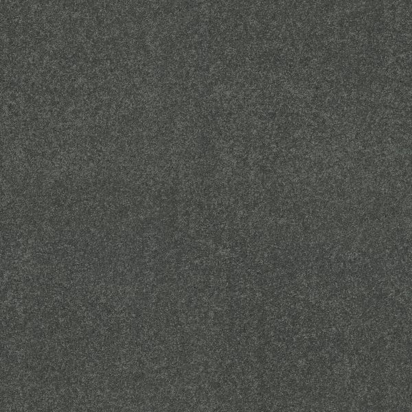 Shaw Floors Retail YOU KNOW IT - 00300 SEACLIFF HEIGHT