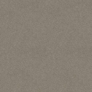 Shaw Floors Retail YOU KNOW IT - 00500 RADIANCE