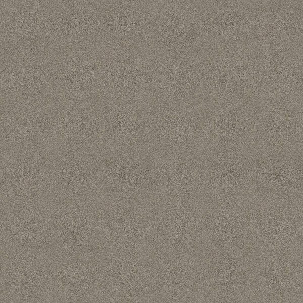 Shaw Floors Retail YOU KNOW IT - 00500 RADIANCE