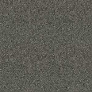 Shaw Floors Retail YOU KNOW IT - 00503 MARBLE GRAY