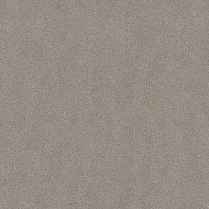 Shaw Floors Retail YOU KNOW IT - 00510 FROSTED ICE