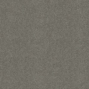 Shaw Floors Retail YOU KNOW IT - 00513 BATTLESHIP