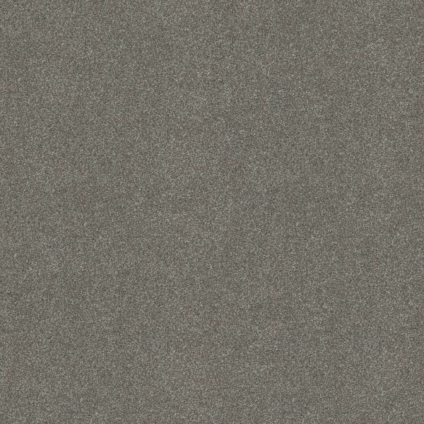 Shaw Floors Retail YOU KNOW IT - 00513 BATTLESHIP