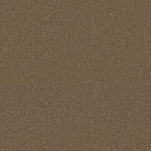 Shaw Floors Retail YOU KNOW IT - 00700 ACORN
