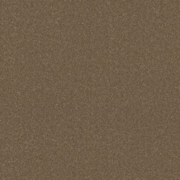 Shaw Floors Retail YOU KNOW IT - 00700 ACORN